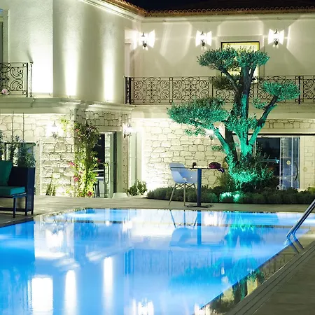 The Design מלון *