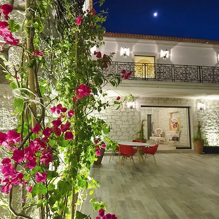 The Design * אלאקאטי