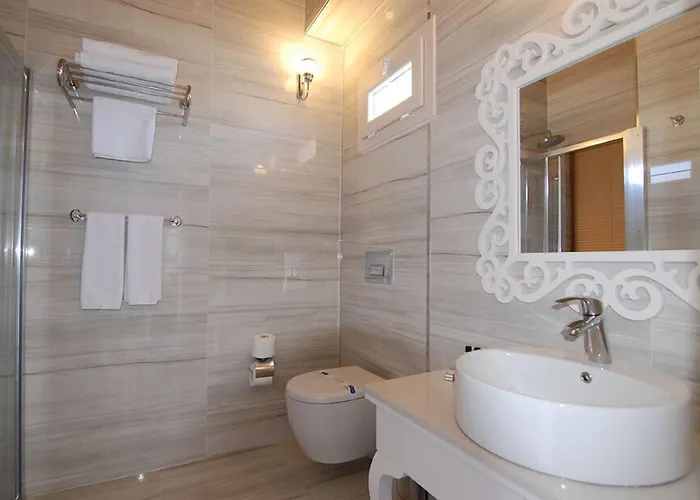 The Design *