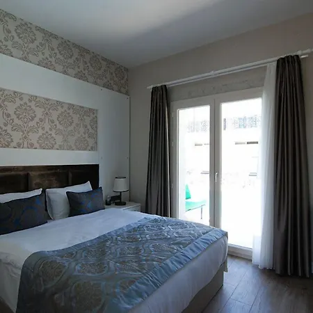 The Design * 알라카티